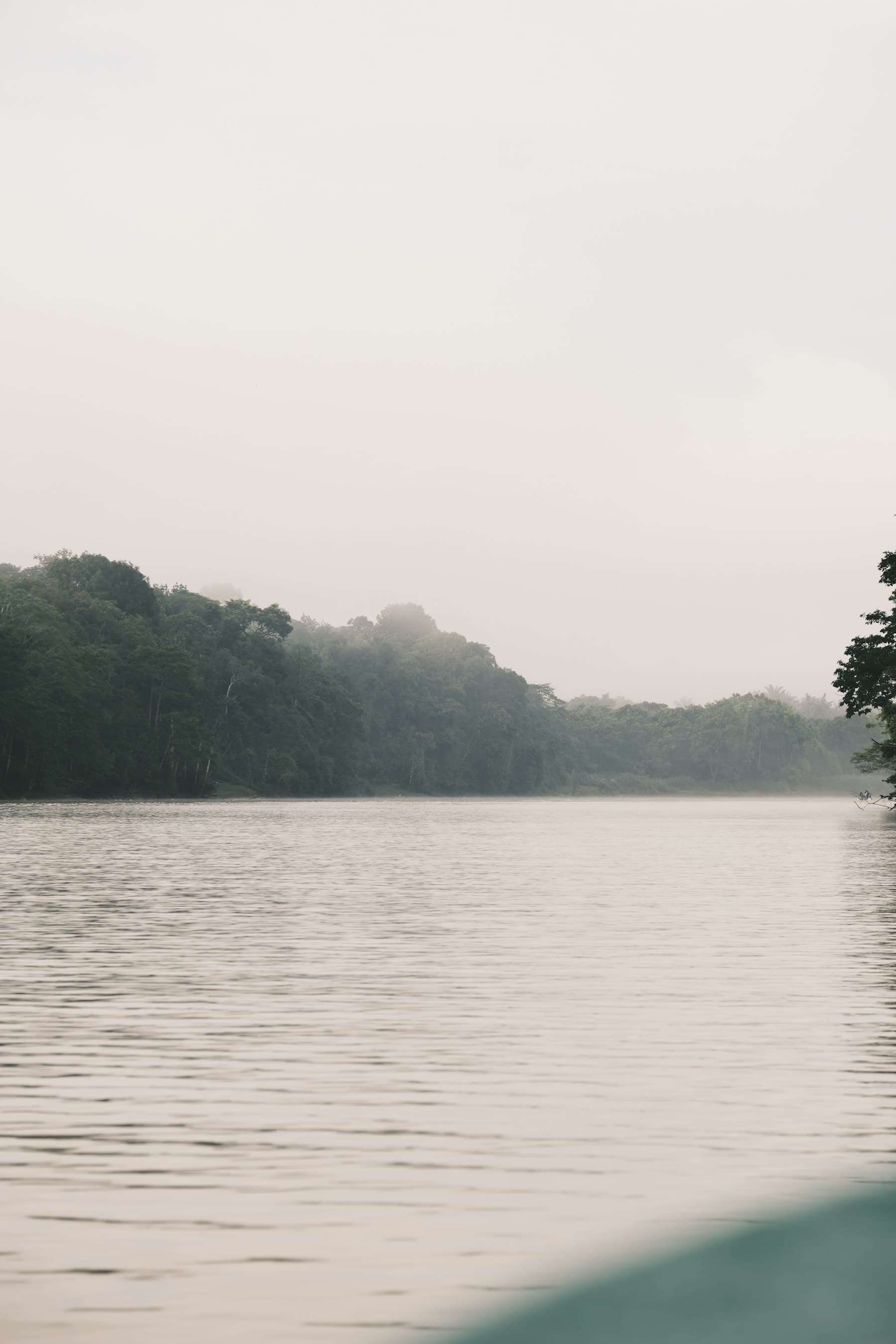 Sungai berkabut di pagi hari