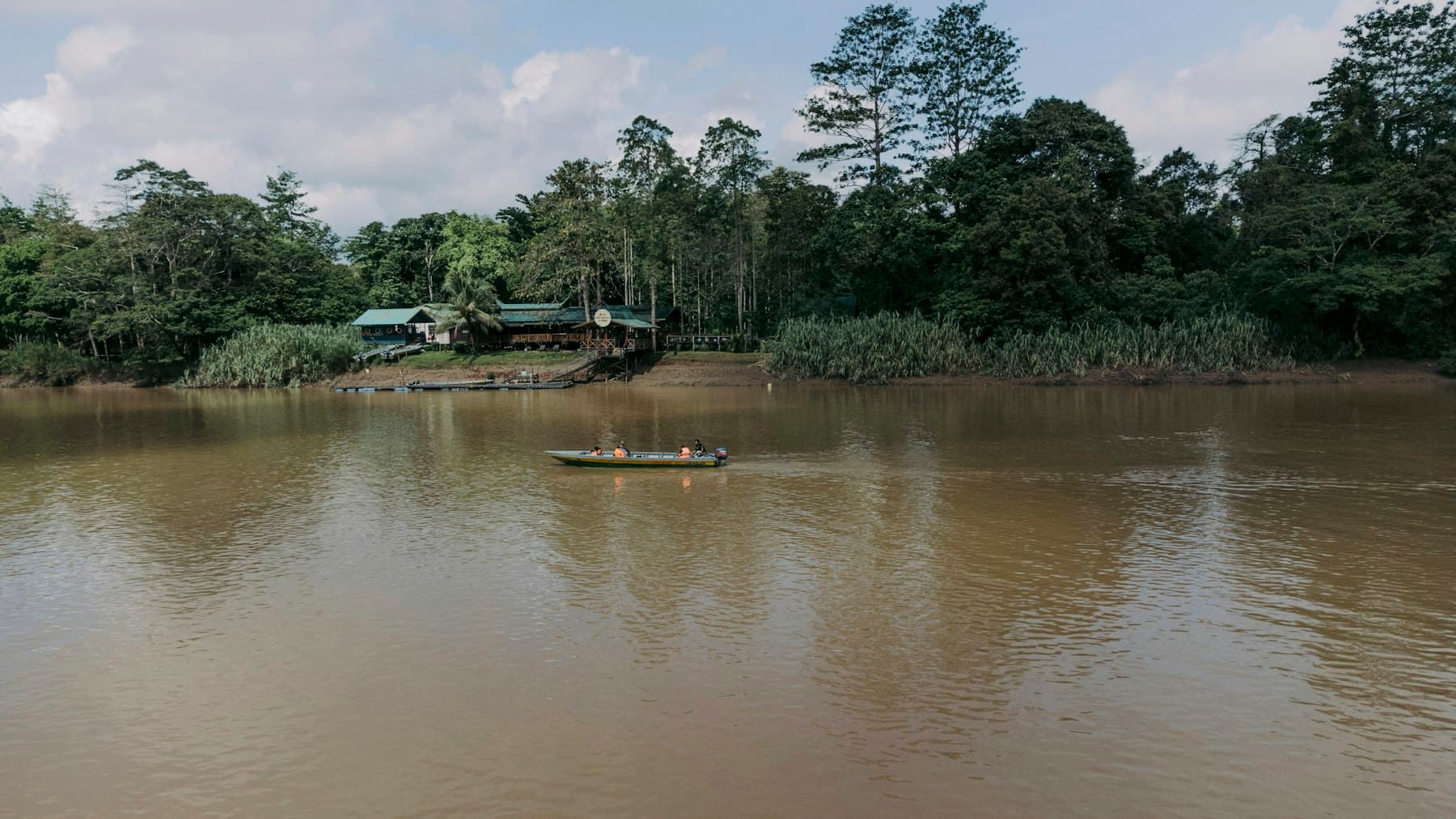 Perahu menyusuri sungai cokelat di tepi hutan hujan